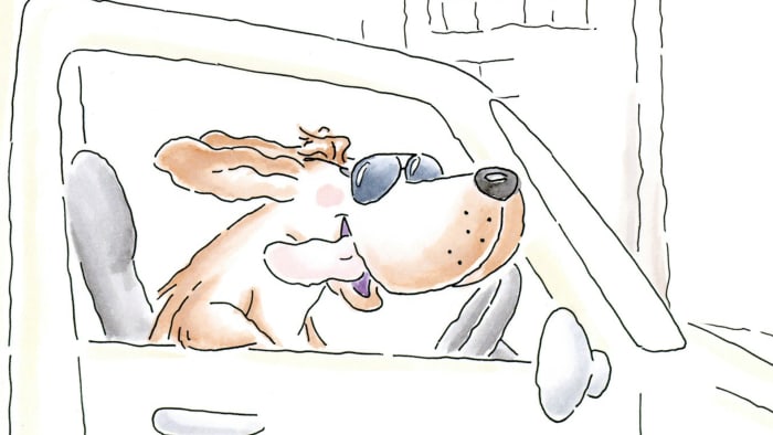 Screenshot - Dog
