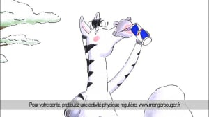 Zebra - France