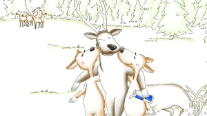 Deers - Estonia