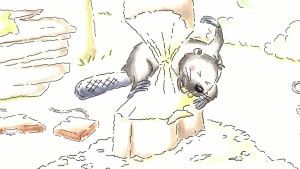 Bears