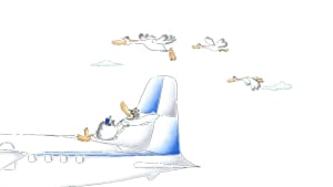 Ducks