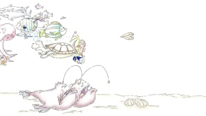 Anglerfish - TVC - 16:9 - 15’’