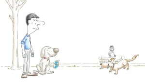 Top Dog