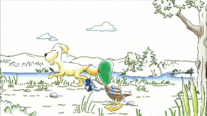Ducks