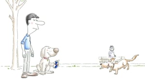 Top_Dog_PE_co_15