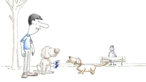 Top Dog