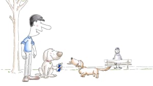 Top Dog