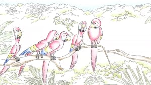 TVC Screenshot - Parrots