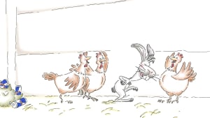 Easter Eggs