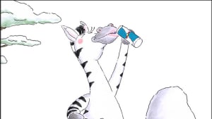 Zebra