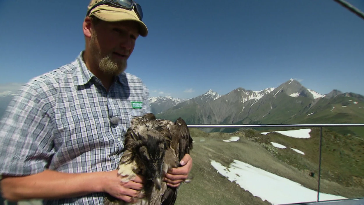 Nationalpark Hohe Tauern