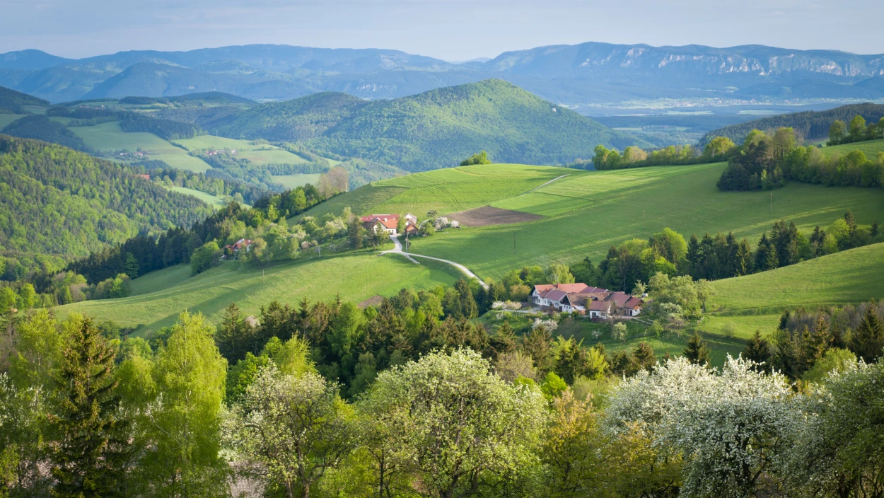 Die Bucklige Welt