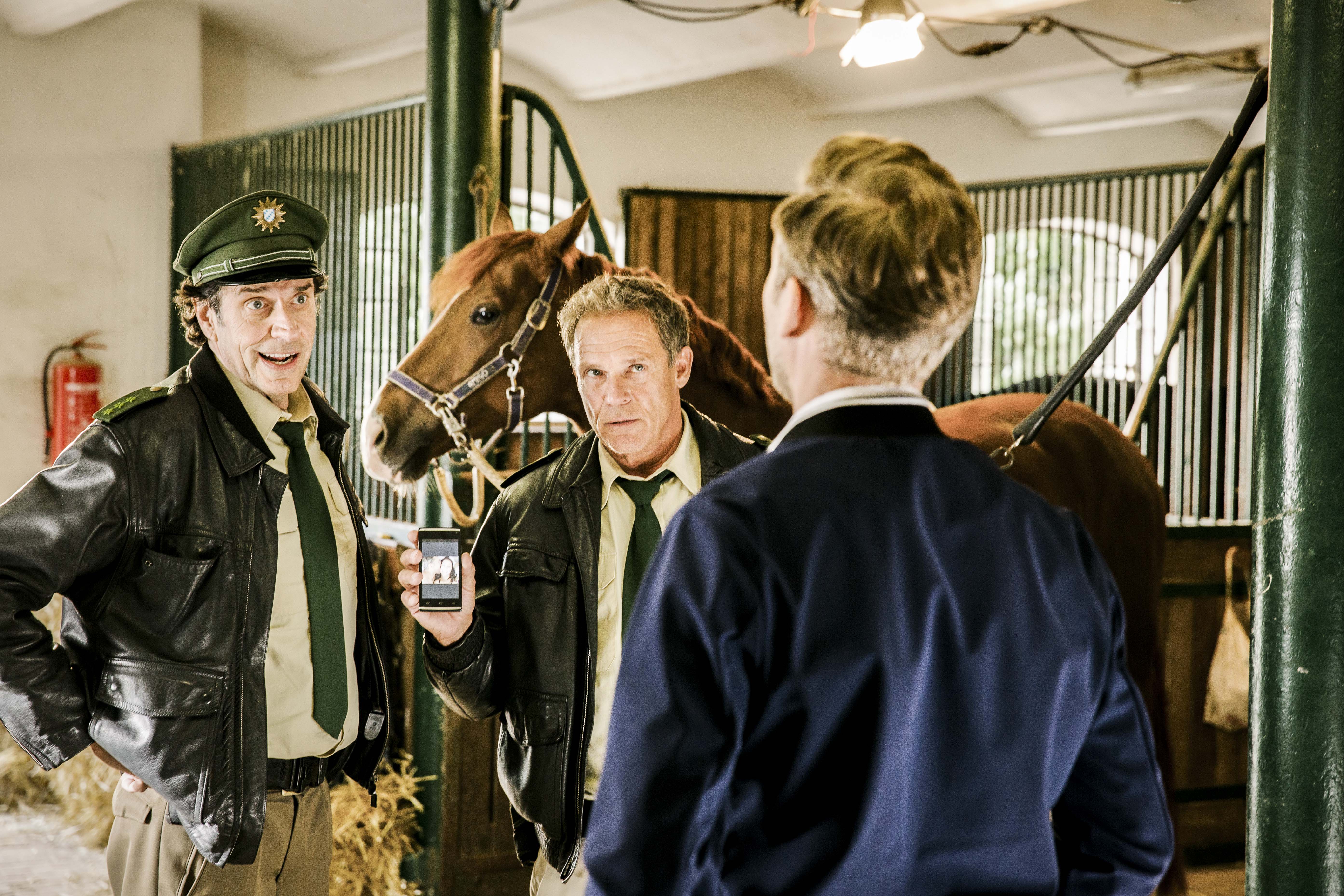 Der Pferdeflüsterer