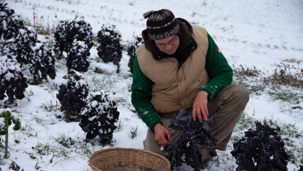 So schmeckt der Winter 