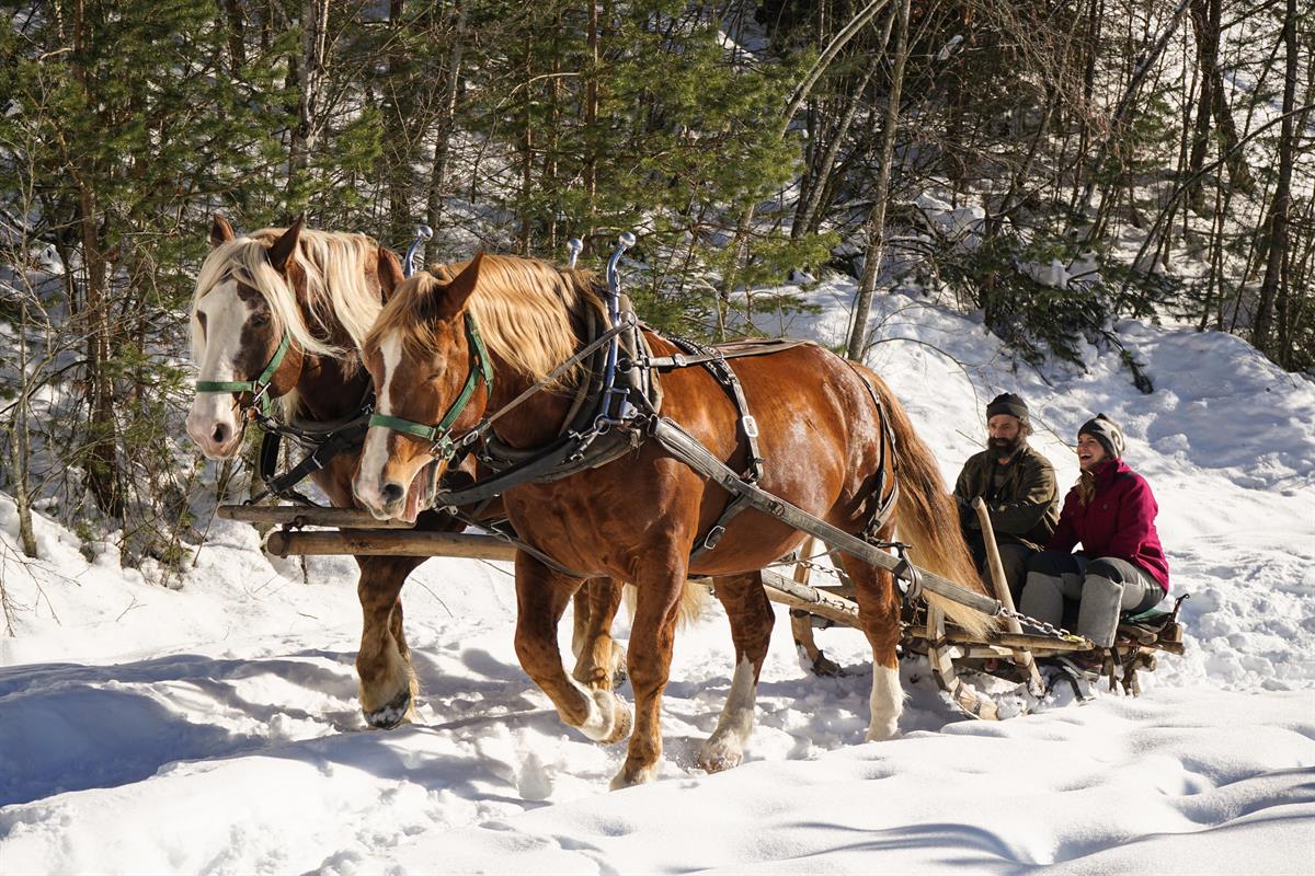 Conny siacht Schwaz – Tirol amol åndersch