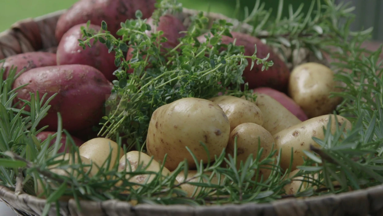 Food, Plant, Potato