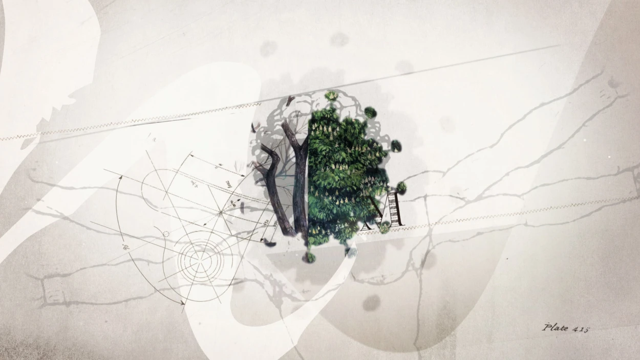 Art, Floral Design, Graphics