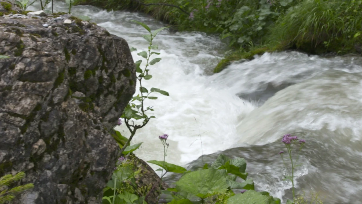 Das Geheimnis des Wassers