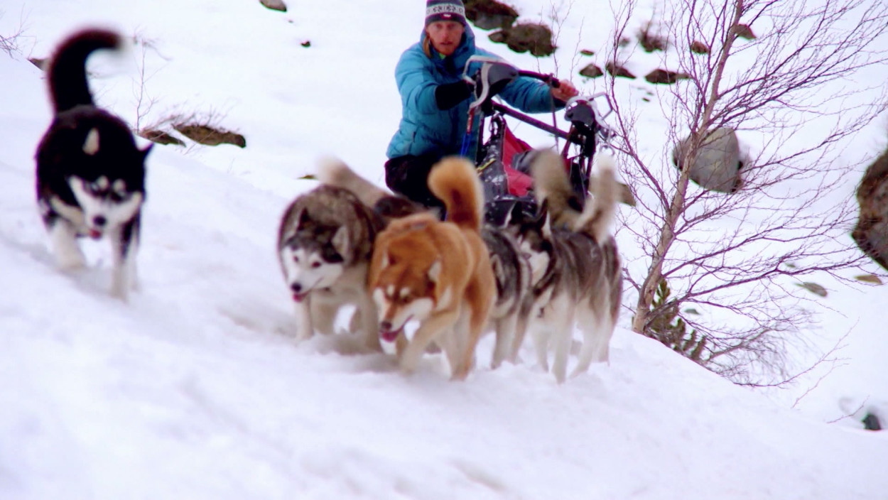Alpen-Überquerung - Abenteuer mit Hunden