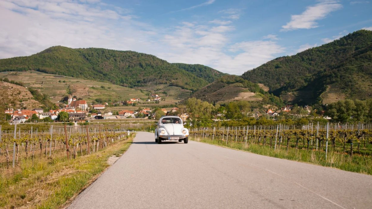 Unterwegs in der Wachau - Huchen, Laberl, Wasserbüffel