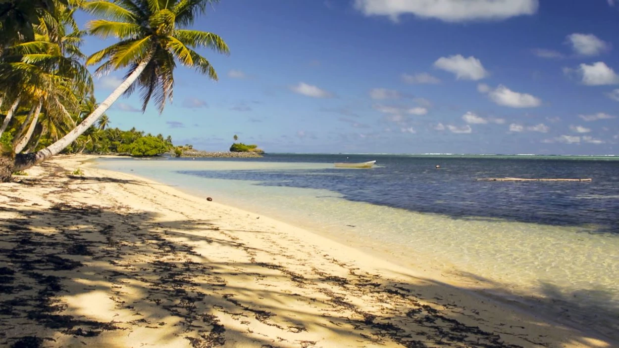 Auf zu wilden Ufern - Leben am Strand