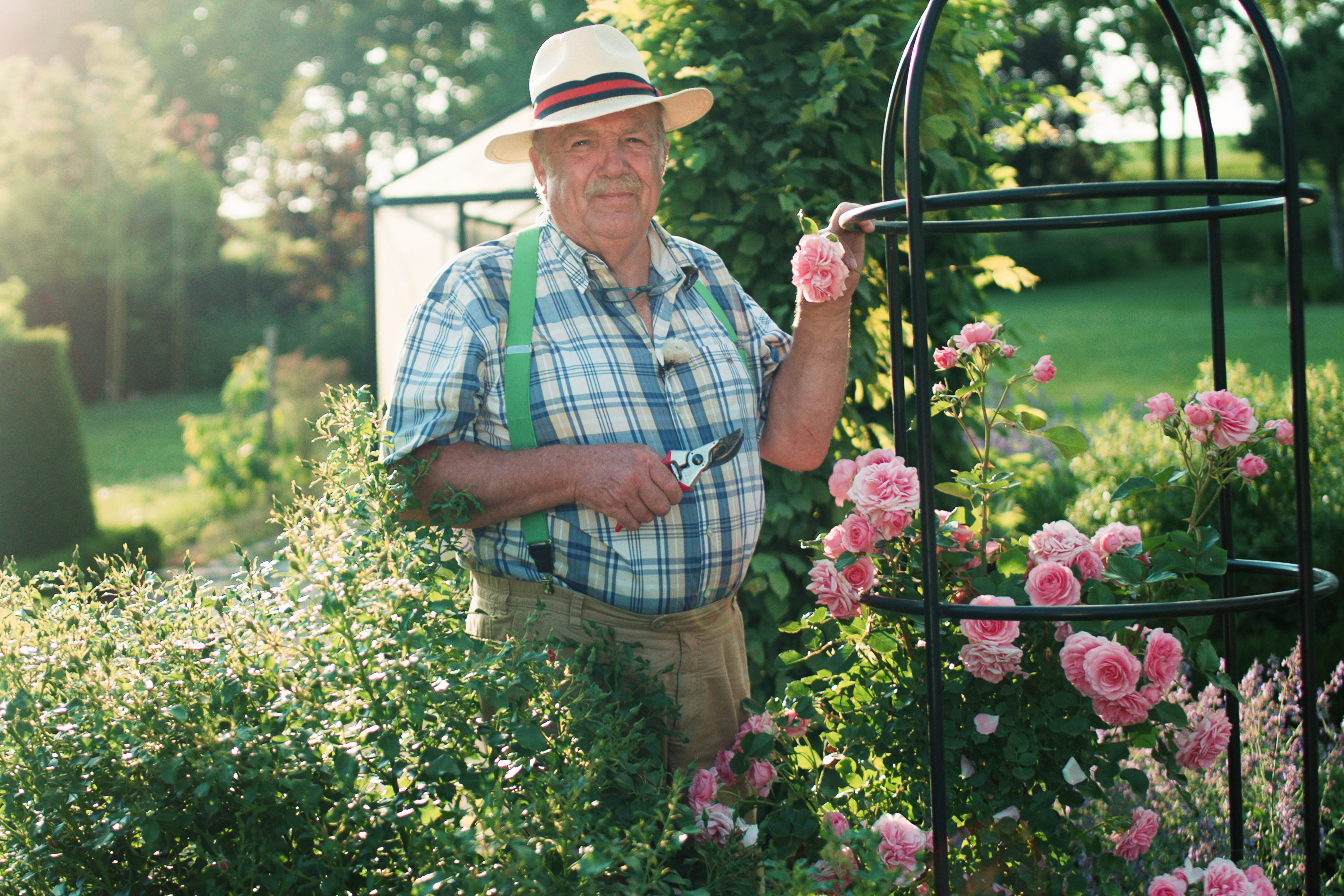 Garten-Tipps von Josef Starkl: Herbstarbeiten