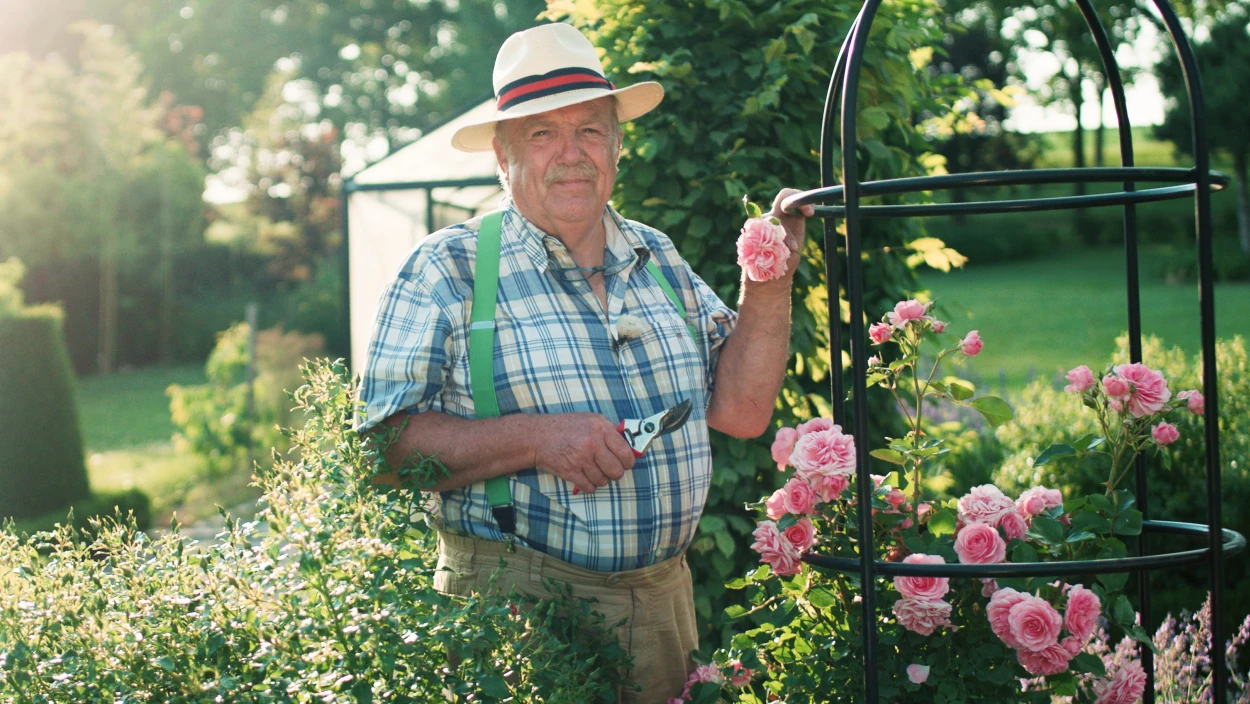 Rasenpflege und Gemüse