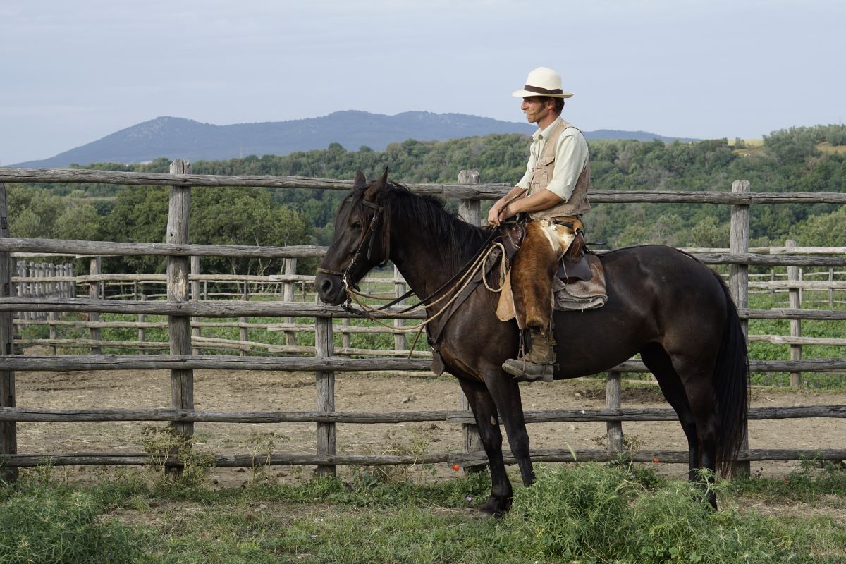 Von Cowboys und echten Wildpferden
