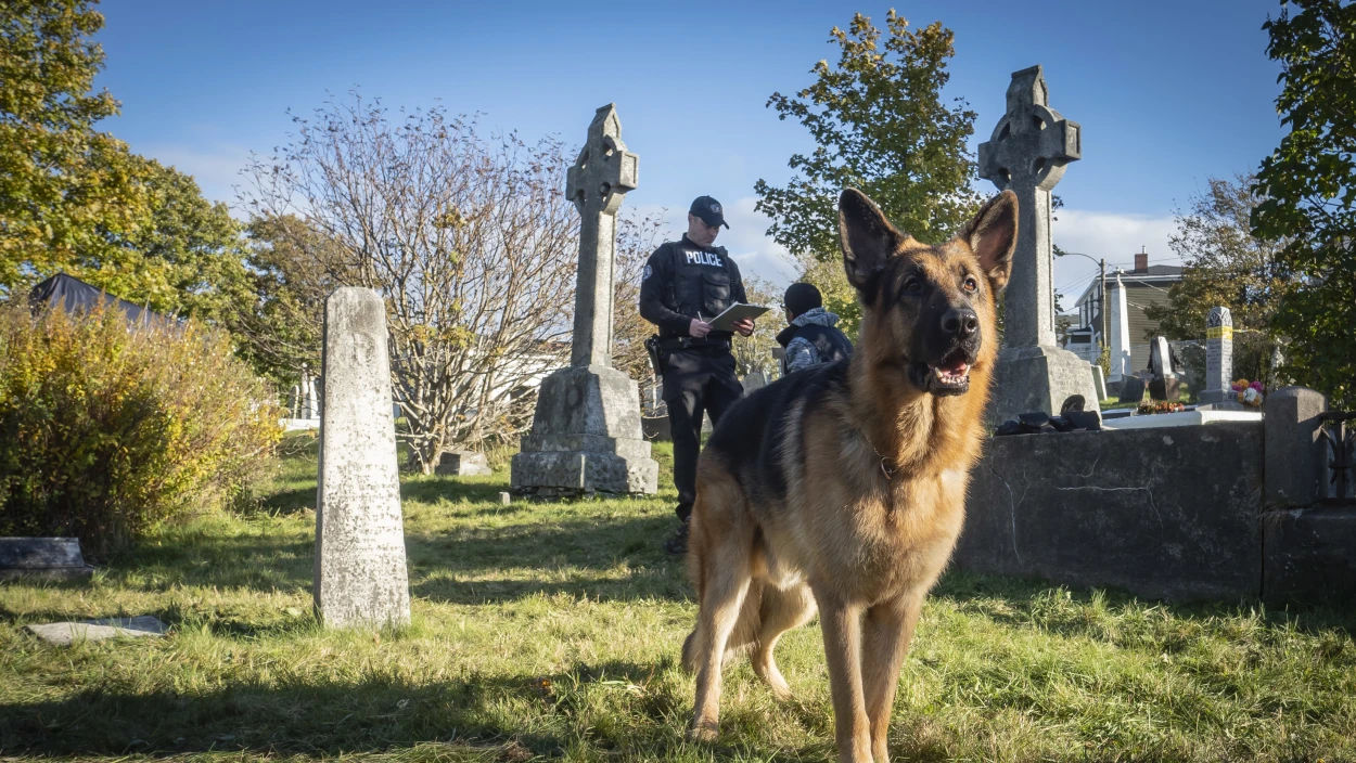 Der Geist aus der Vergangenheit