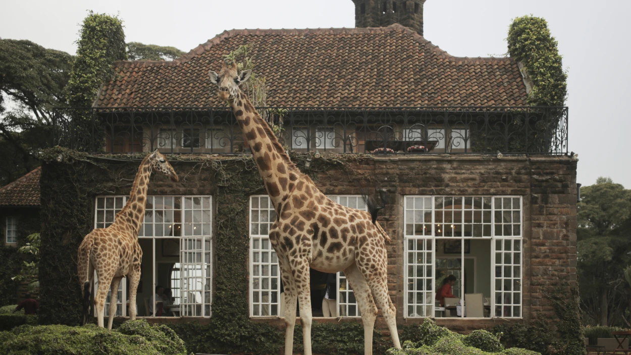 Giraffe Manor, Kenia (3/6)