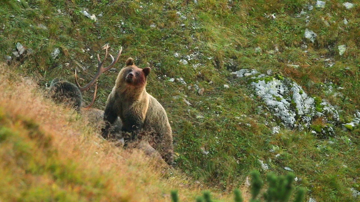 Die Hohe Tatra - Insel in der Zeit