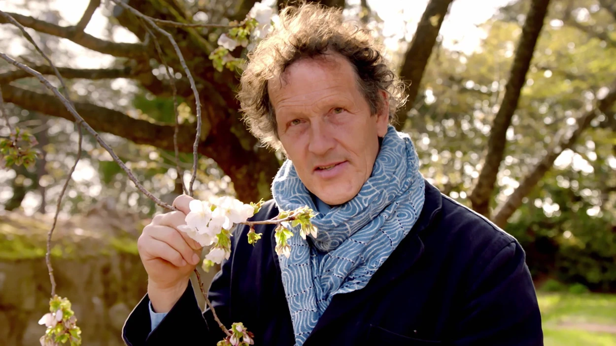 Japanische Gärten - Frühling