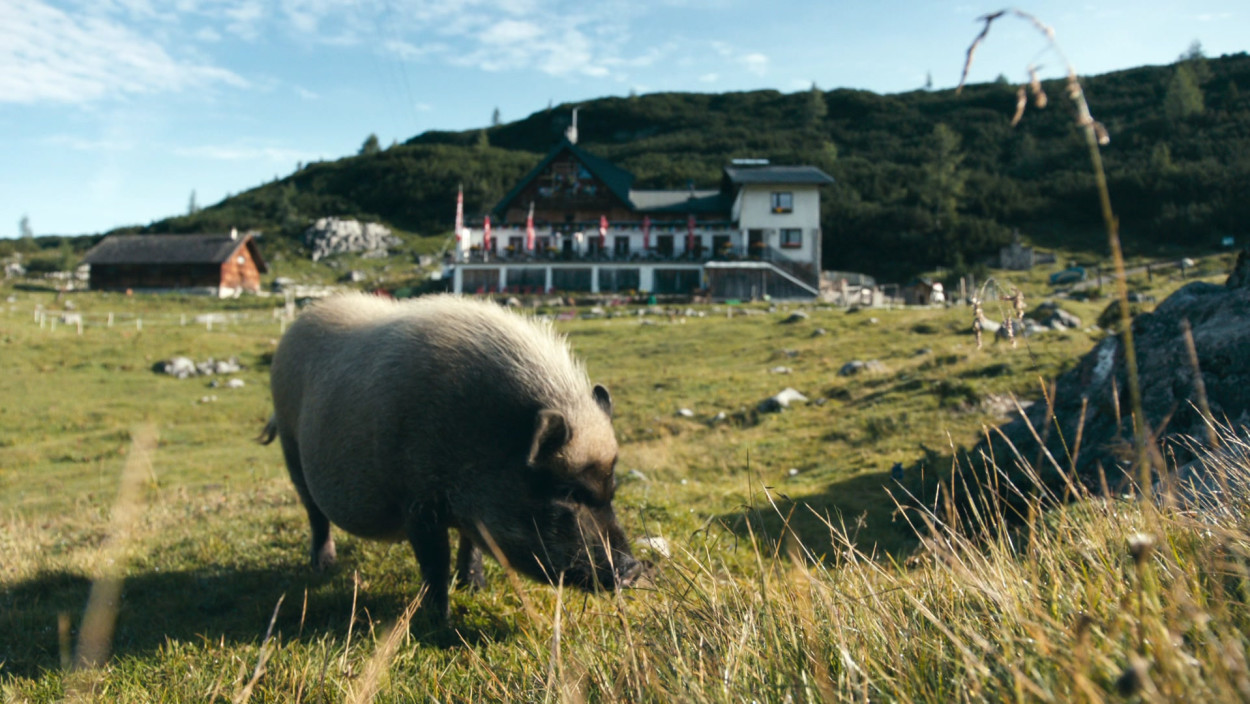 Zuhause hoch droben