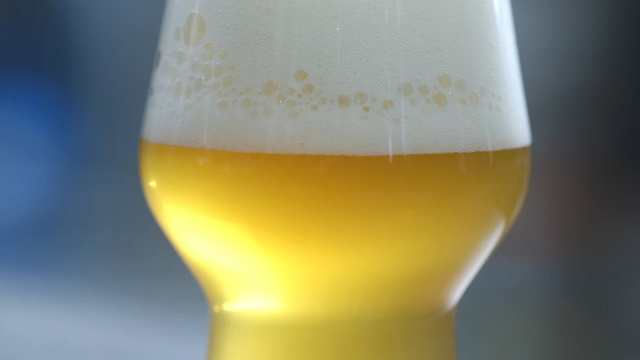 Bier