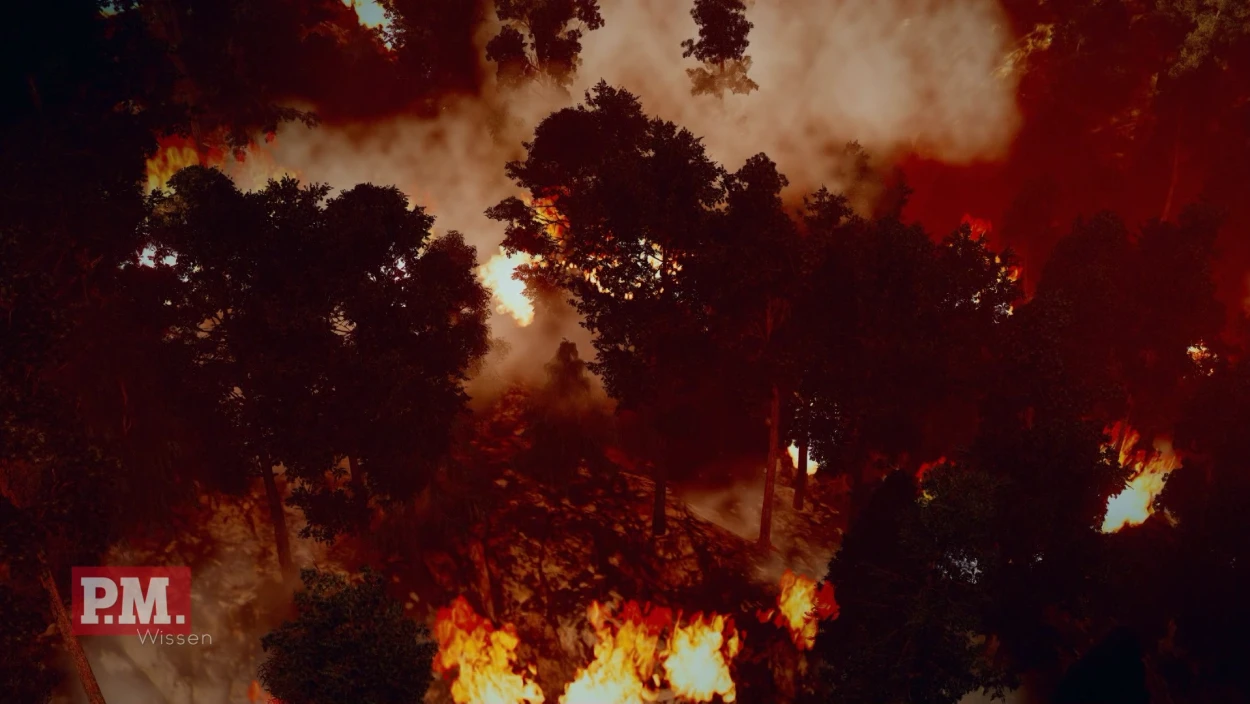 Fire, Forest Fire, Painting