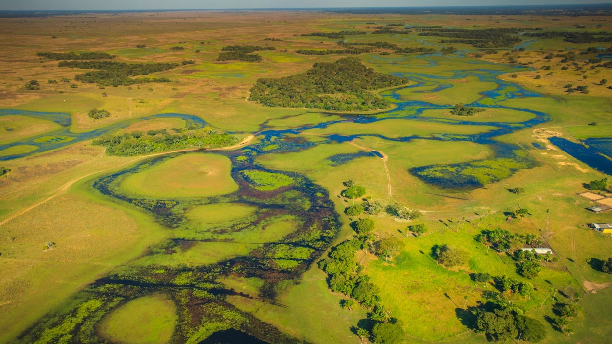 Die Wasserwelt des Pantanal