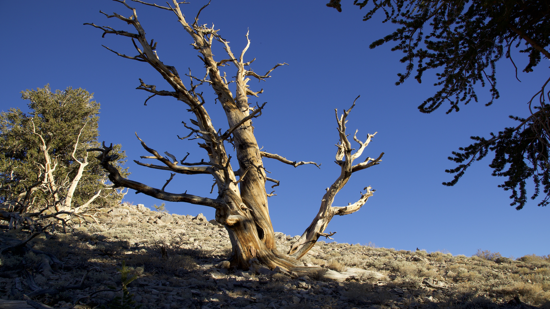 Unbekanntes Kalifornien - Zwischen Küste und Wüste (2/2)