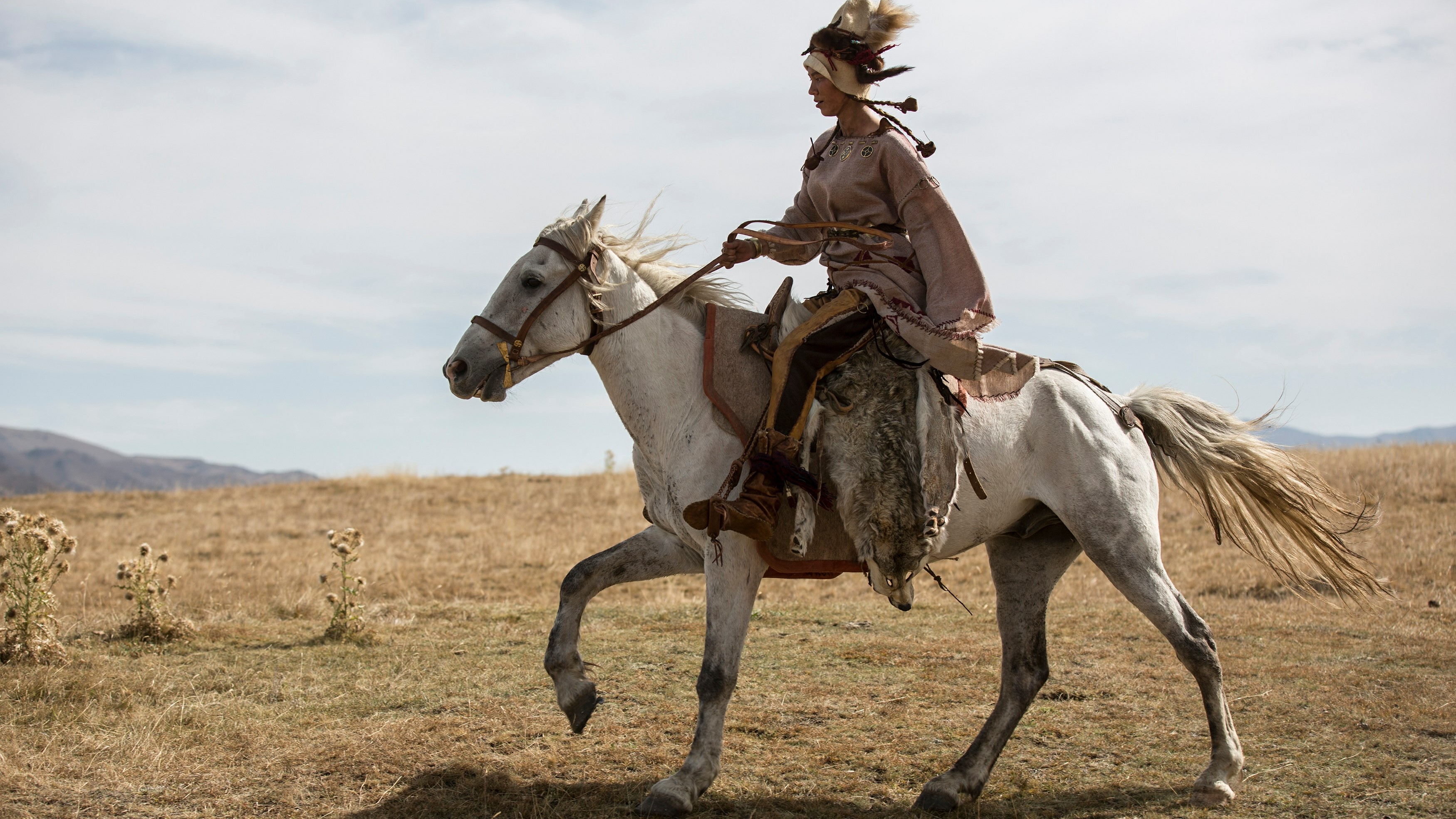 Die Geschichte von Pferd und Mensch
