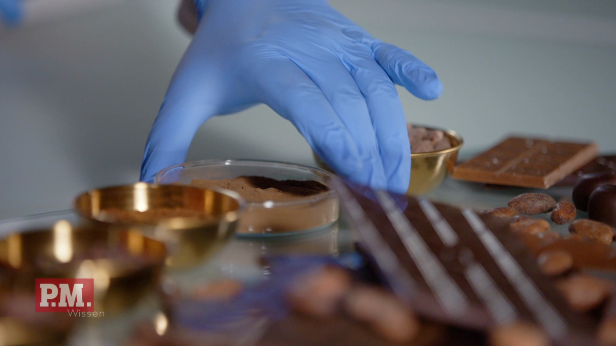 Wie schmeckt Schokolade aus dem Labor?