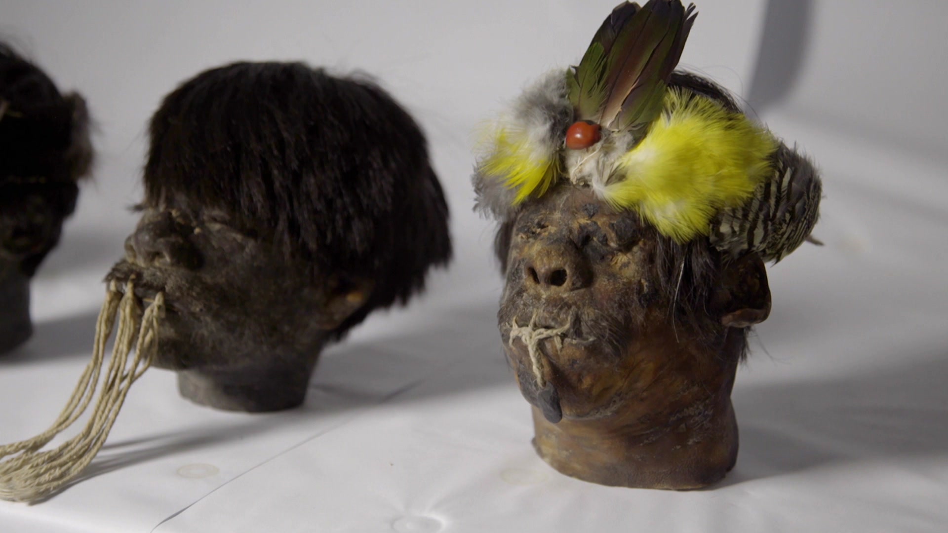 Das Geheimnis der Schrumpfköpfe