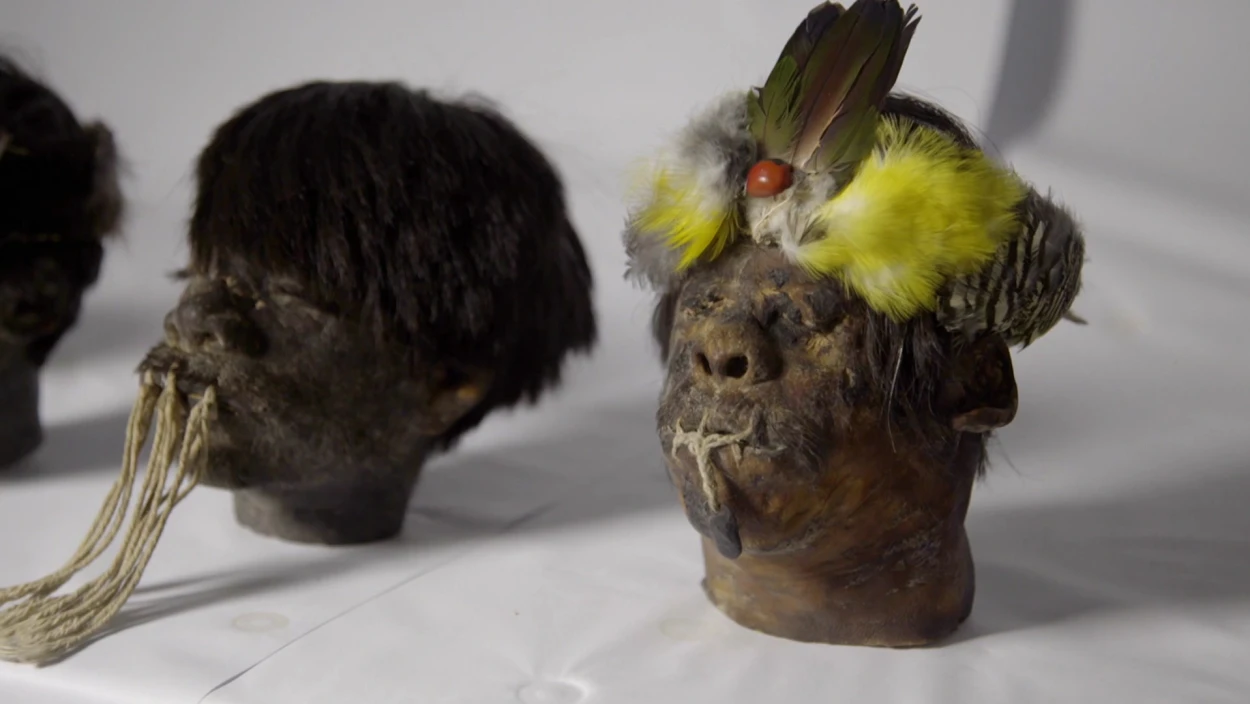 Das Geheimnis der Schrumpfköpfe