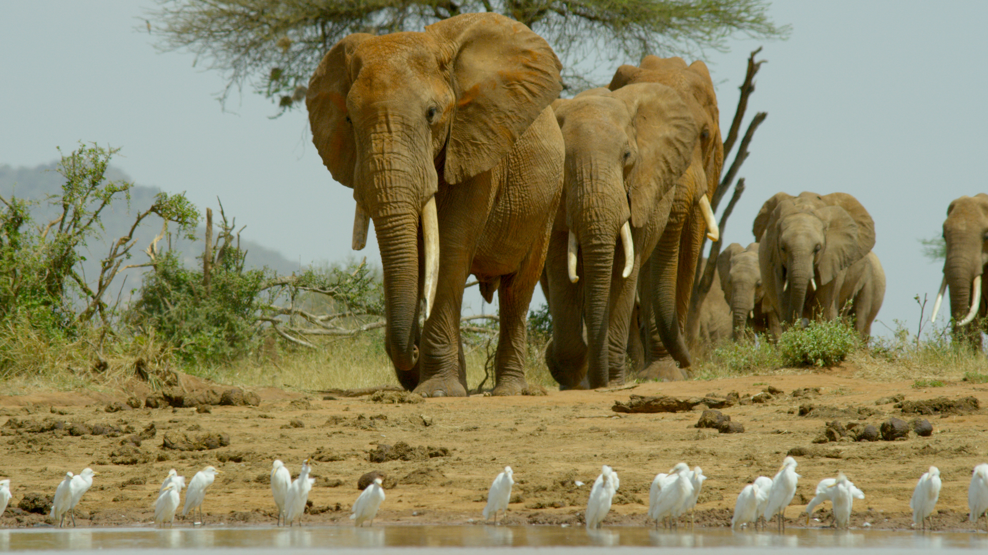 Eine Perle im Sand - Überfluss (1/2)