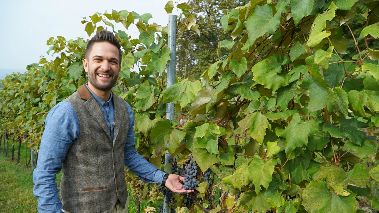 Burgen, Plutzer, rote Reben - Mit Richard Deutinger im Burgenland