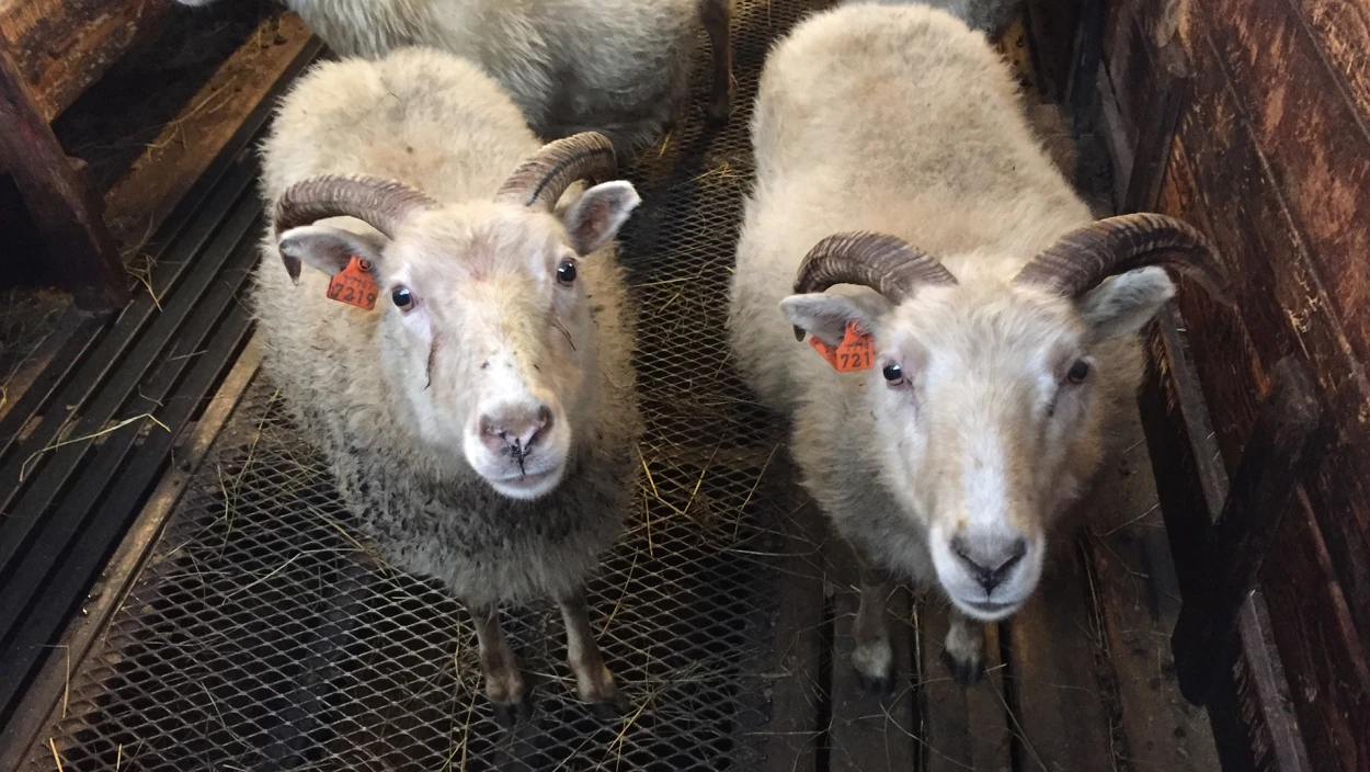 Auf in die Zukunft (2/2)