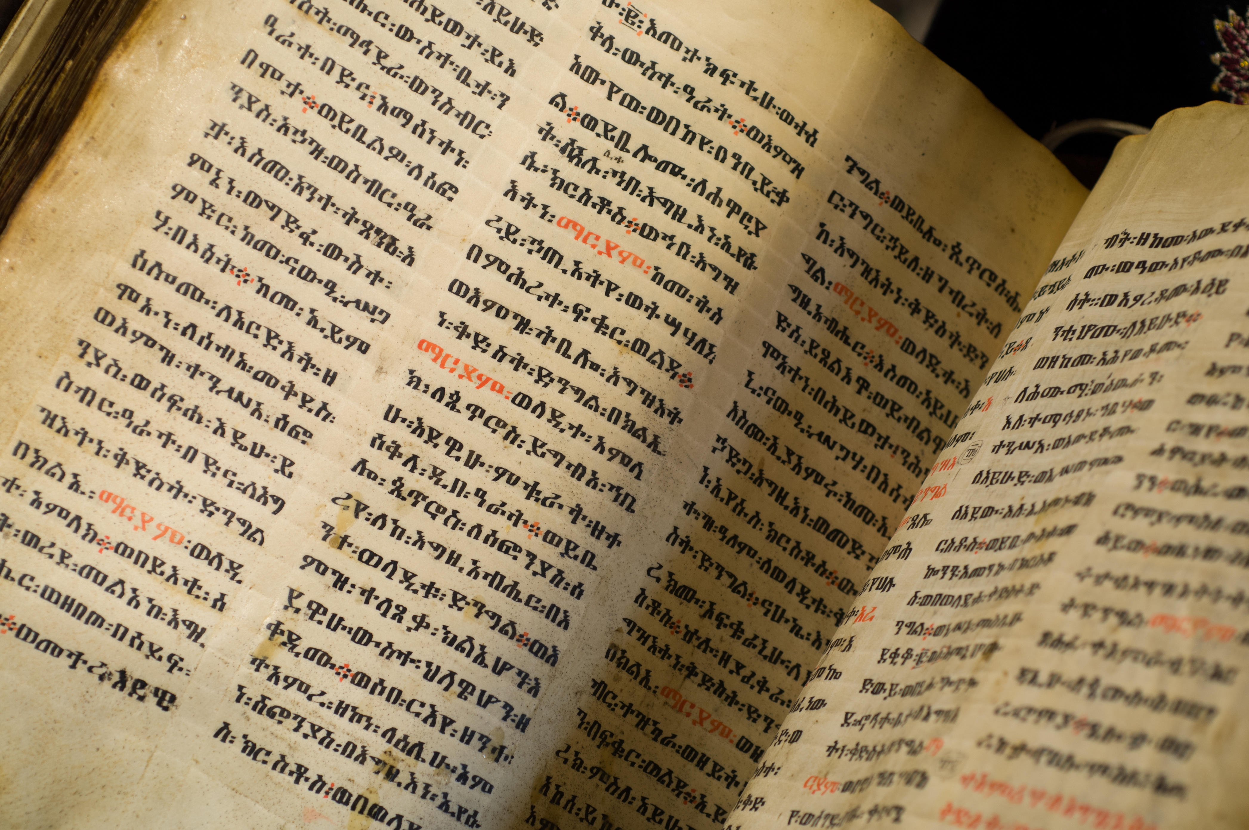 Die verbotene Bibel