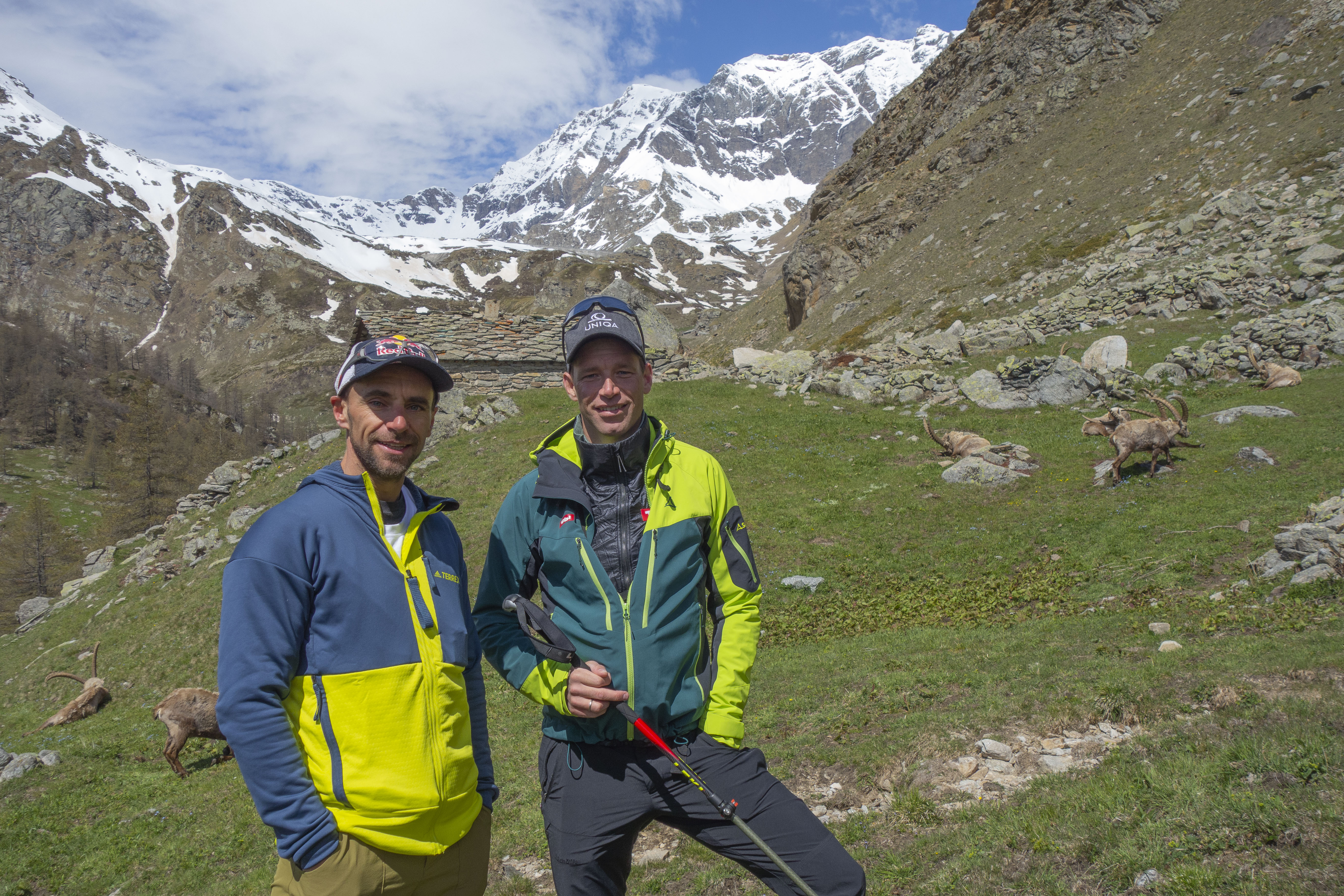 Gran Paradiso - Königreich für Steinböcke und Kletterer