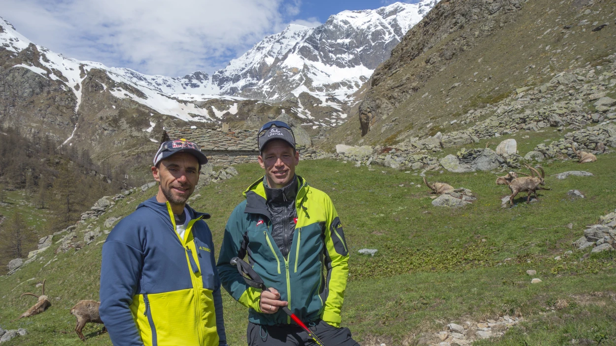 Gran Paradiso - Königreich für Steinböcke und Kletterer