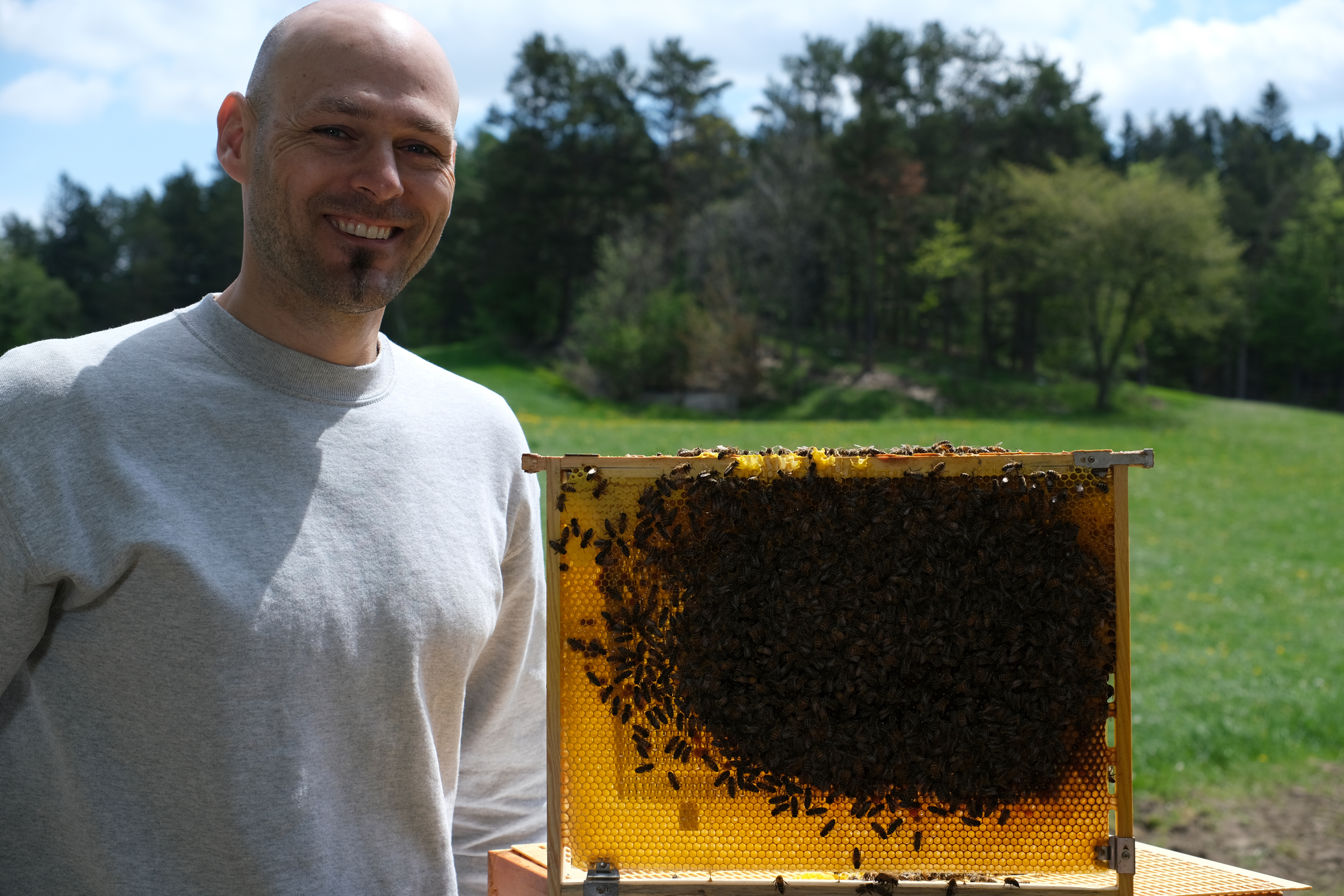 Heizung für Bienen