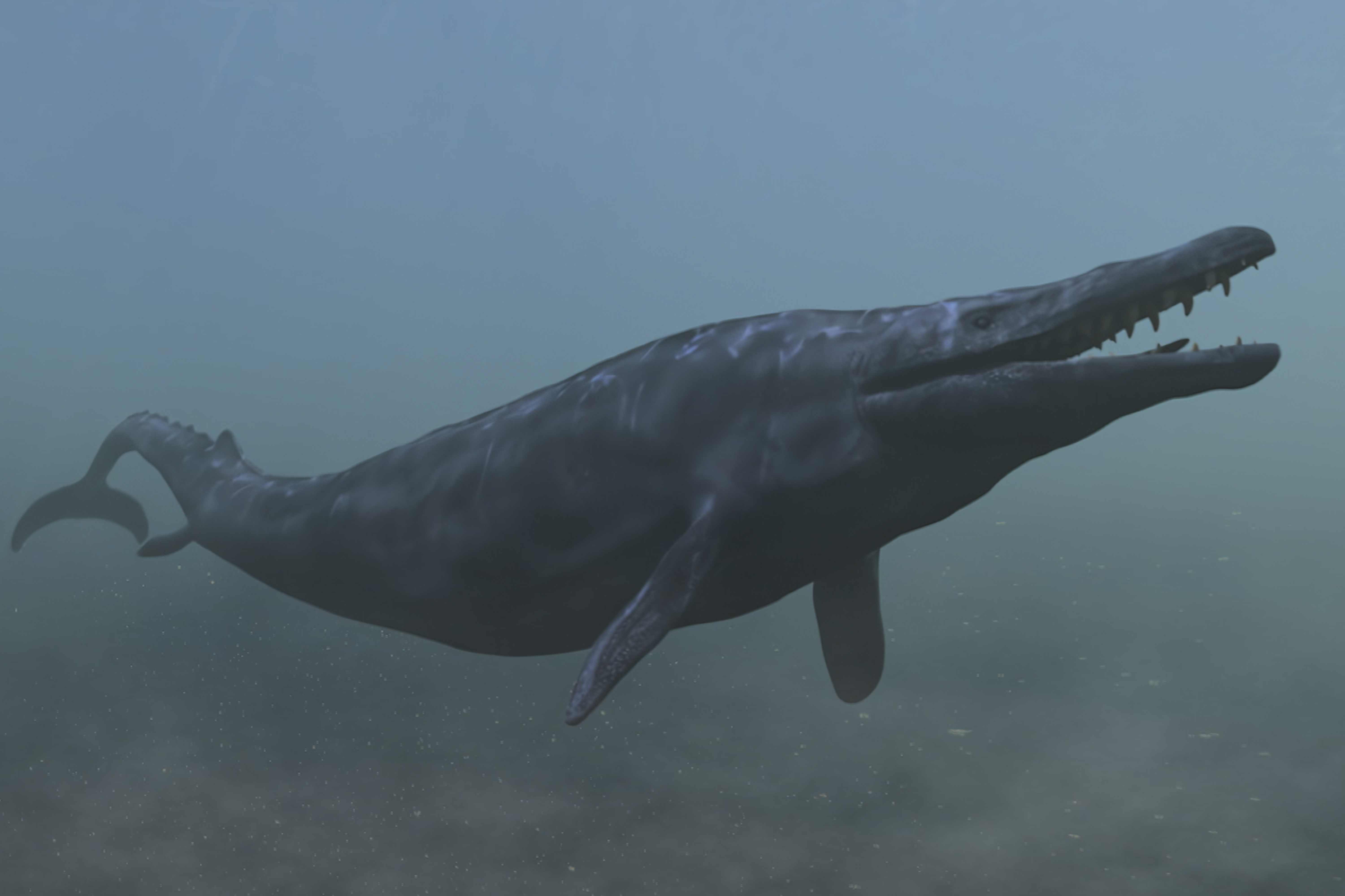 Der Knochenbrecher-Wal