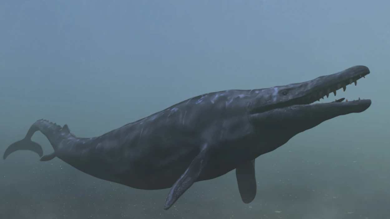 Der Knochenbrecher-Wal